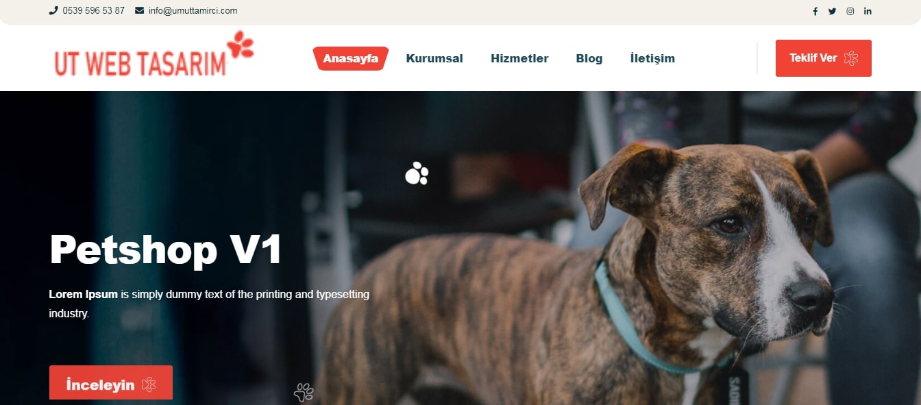 Pet Shop Teması V1