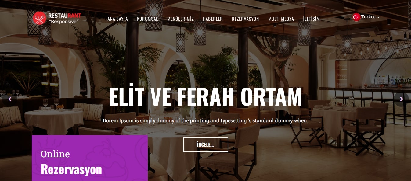 Restaurant Teması V3