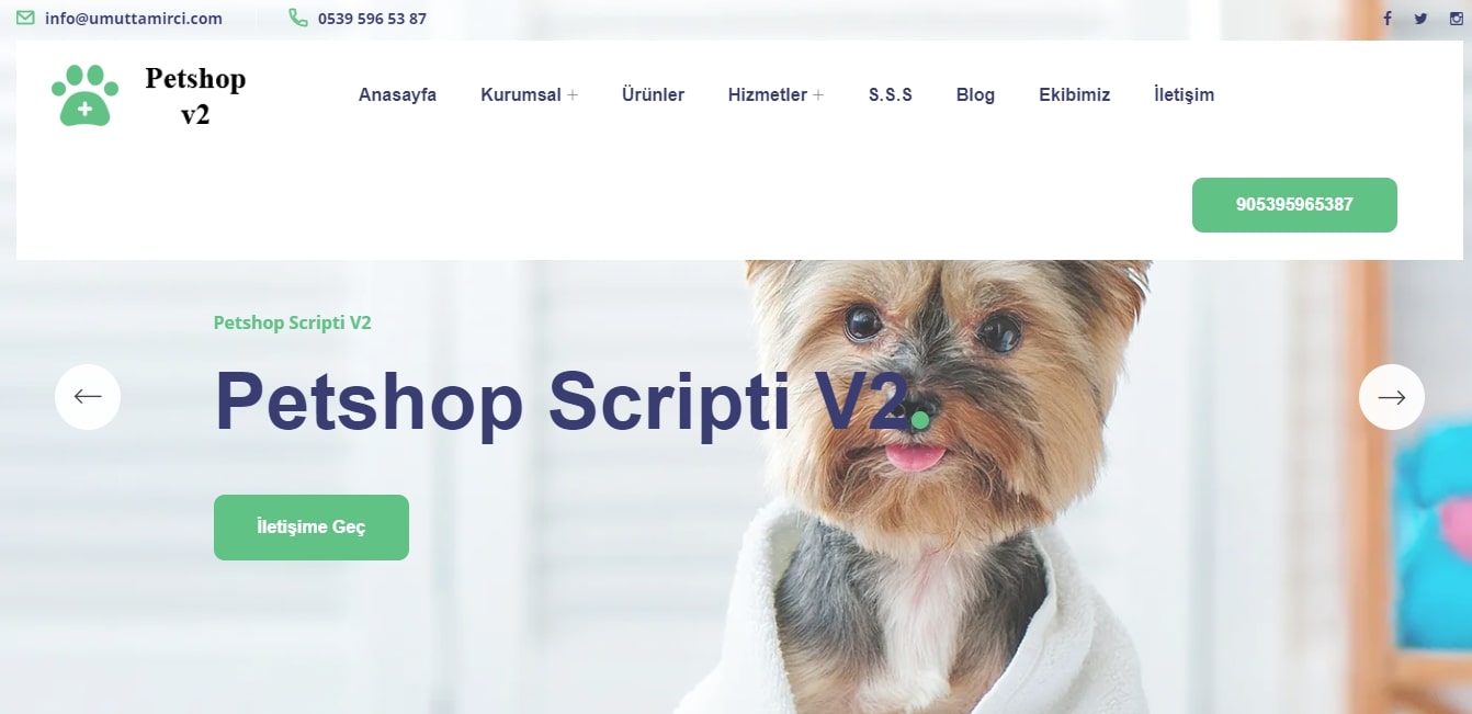 Pet Shop Teması
